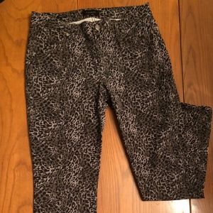 Talbots leopard / cheetah print stretch jeans 8